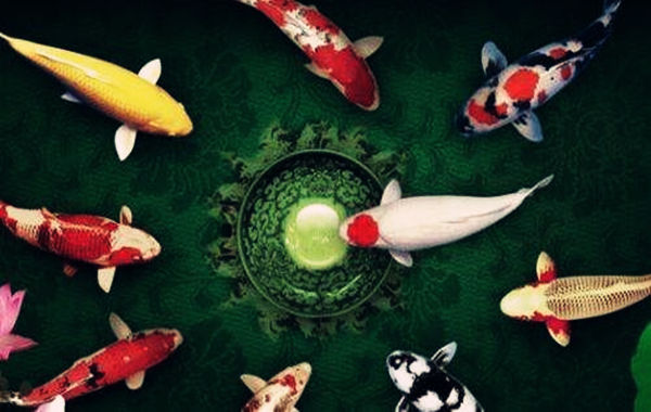 八字算命:八字五行分析详解