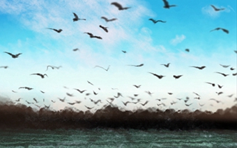 八字入门 八字入门