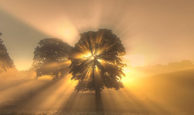 生辰八字对应的卦象 生辰卦象分析