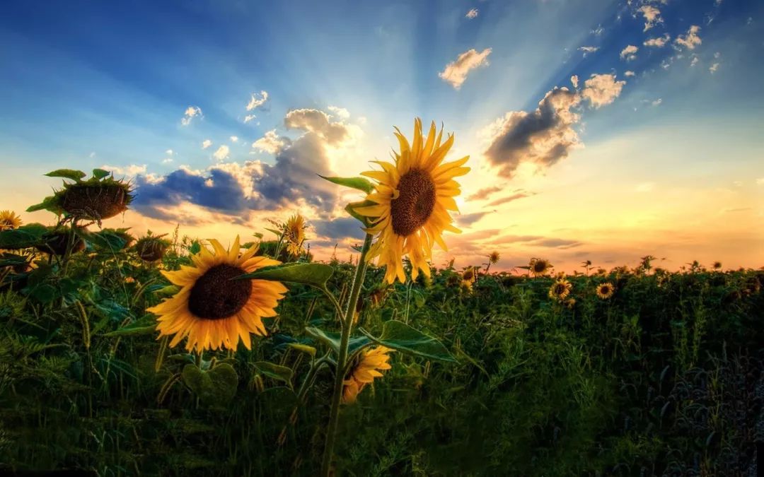 生辰八字对应的卦象 生辰卦象分析