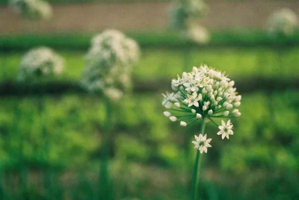 生辰八字对应的卦象 生辰卦象分析