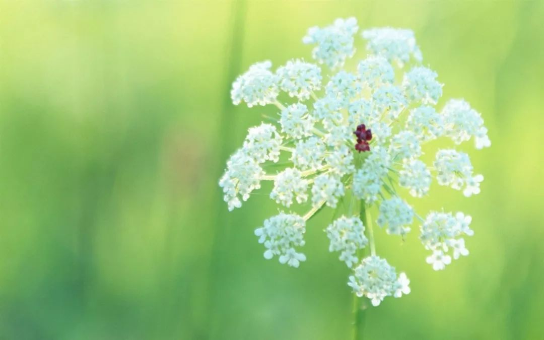 生辰八字对应的卦象 生辰卦象分析