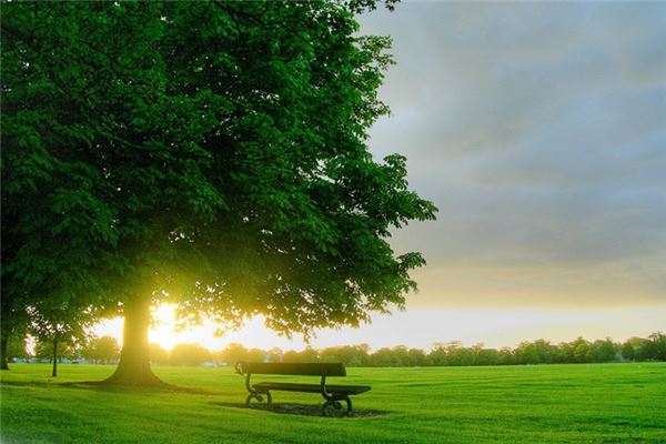 五行缺木怎么办,八字五行缺木如何补救