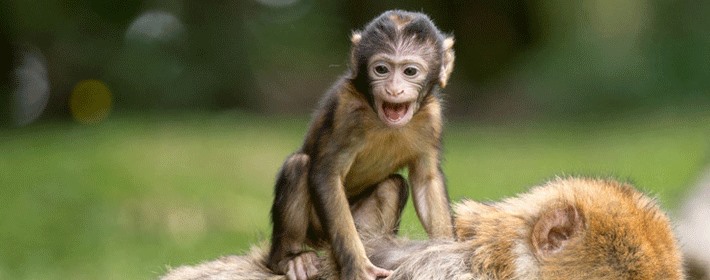 出生时有这些特征，将来前程远大，不可限量！