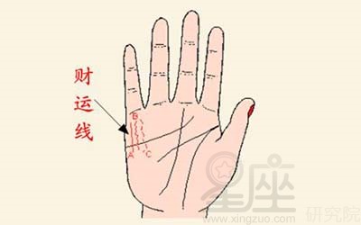 手掌上的财运线太长好不好呢,手相财运线长好吗