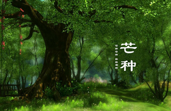 芒种气候特点 芒种气候对农业的影响