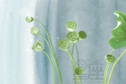 回族盛大节日之一：古尔邦节