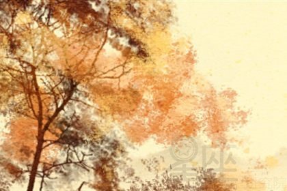 2022天干地支是什么年 出生的人命运如何