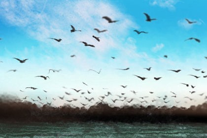 辣菜党必知:川菜特色菜前十是哪些?