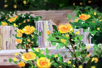 中国和韩国的饮食差异是什么？