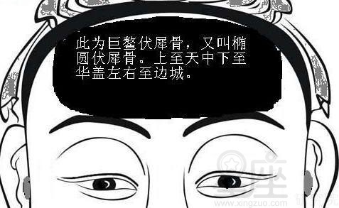 女人伏羲骨解析 什么样的骨相吉利