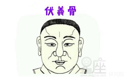 额头伏羲骨图片大全 额头有伏羲骨好吗
