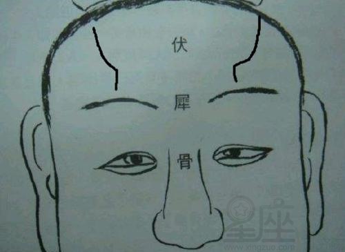 朝天伏犀骨配卧蚕眉如何 朝天伏羲骨配什么命好