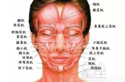 命带麒麟骨好不好 几月出生的人拥有麒麟骨