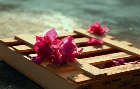 哪些体相的人福薄,喜欢搬弄是非体相特征