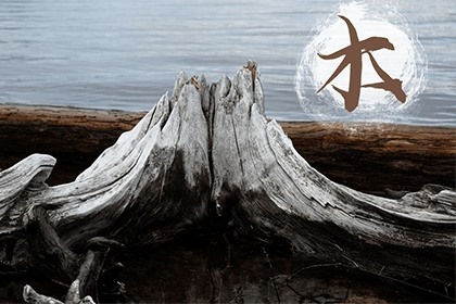 PG电子游戏- PG电子平台- PG电子官方网站上海又一市属一级国有企业成立 打造国际化大宗商品贸易投资商