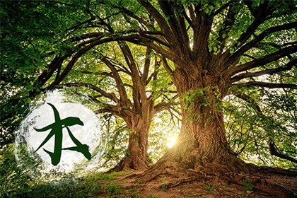 五行PG电子游戏- PG电子平台- PG电子官方网站属性是什么意思