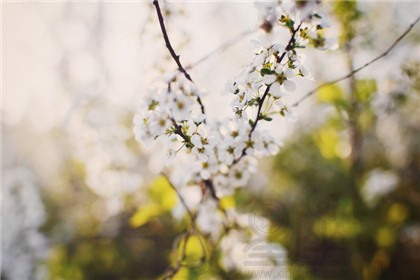 很灵的转运小方法 运气不好怎么转运