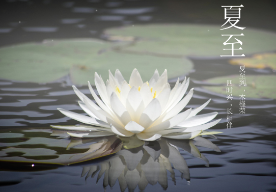 夏至是夏天的开始吗 夏至是夏天最热的时候吗