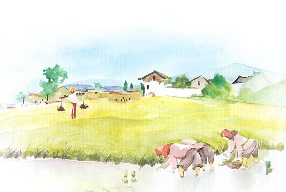 芒种时节生的孩子好吗 芒种的简介