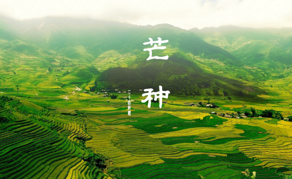 芒种时节生的孩子好吗 芒种的简介