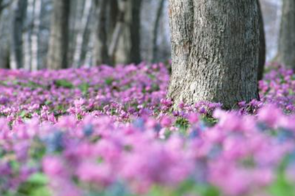 IFSXHGIXL~X_`(FDQCU[~YT.png IFSXHGIXL~X_`(FDQCU[~YT.png