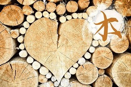 文职工作五行属什么 属木的行业有哪些