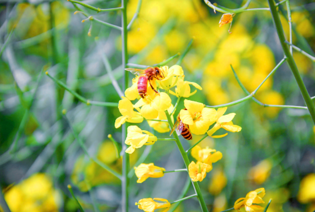 @%429A[FJ6WGRP_YJ7@7U9Y.png @%429A[FJ6WGRP_YJ7@7U9Y.png