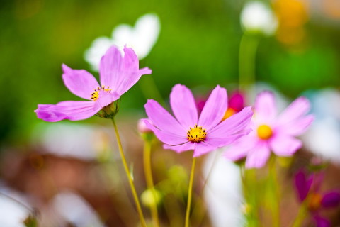 6378382407650876317662726.jpg 6378382407650876317662726.jpg