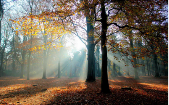 QQ截图20220425115814.png 怎么查自己五行什么命,五行缺哪一项最不好