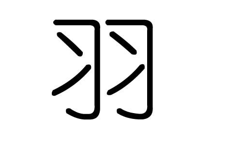 羽字五行属什么