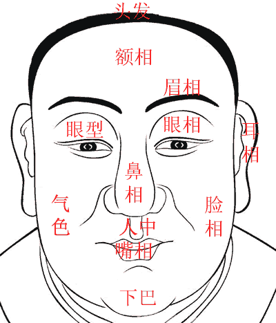 福德宫看另一半相貌