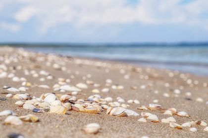 6381320120764975512879488.jpg 6381320120764975512879488.jpg