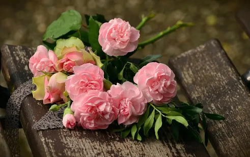 BW}6%GY66KYDMNLV%UC[NAS.png BW}6%GY66KYDMNLV%UC[NAS.png