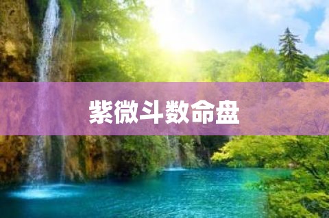 2023年紫薇斗数免费命盘详解