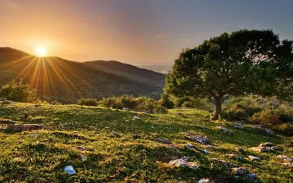 84.png 五行缺水的女孩容易出现哪些问题,五行缺水的女孩的命格