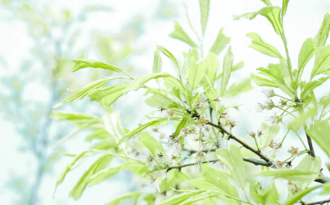 100.png 每日五行穿衣搭配颜色,每日穿衣颜色大吉