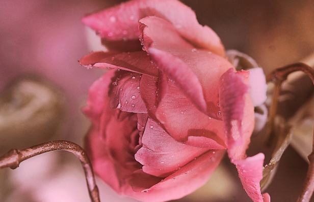 怎么根据生辰八字看五行,如何确定自己的五行