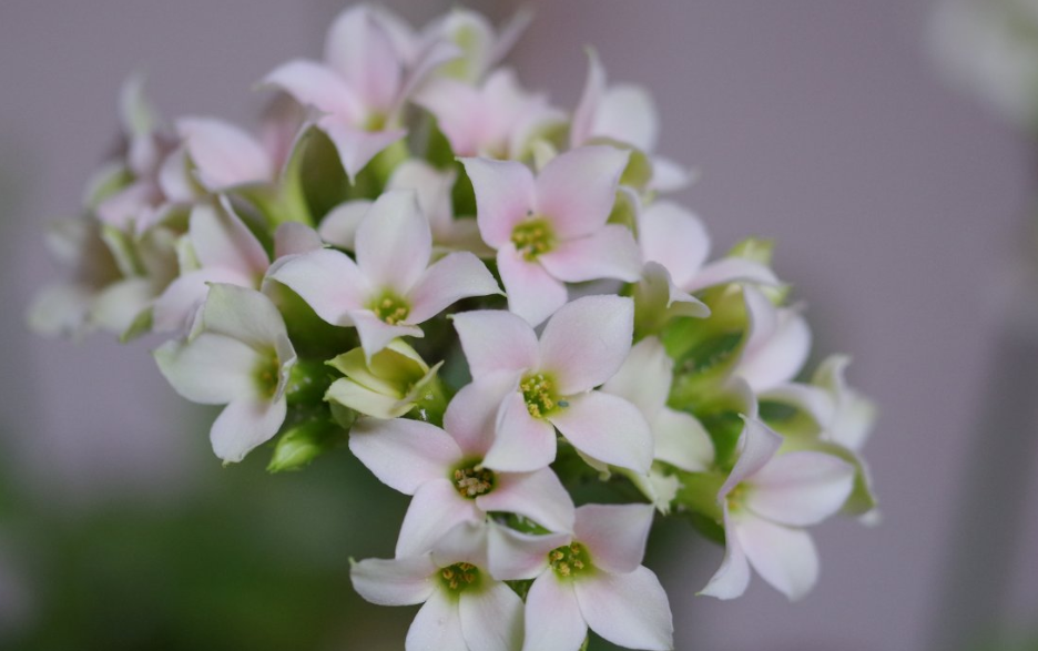 金木水火土如何相生相克,金木水火土相生相克的顺序