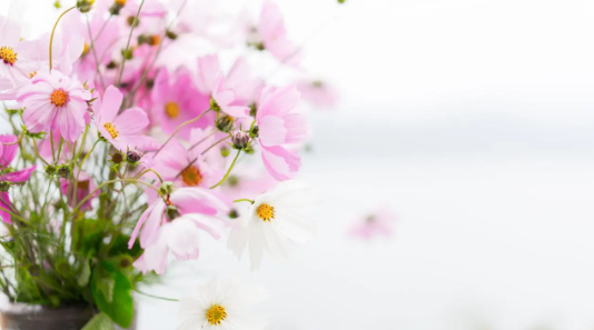 129.png 2023年3月31日五行穿衣指南,五行能量旺运穿衣颜色搭配