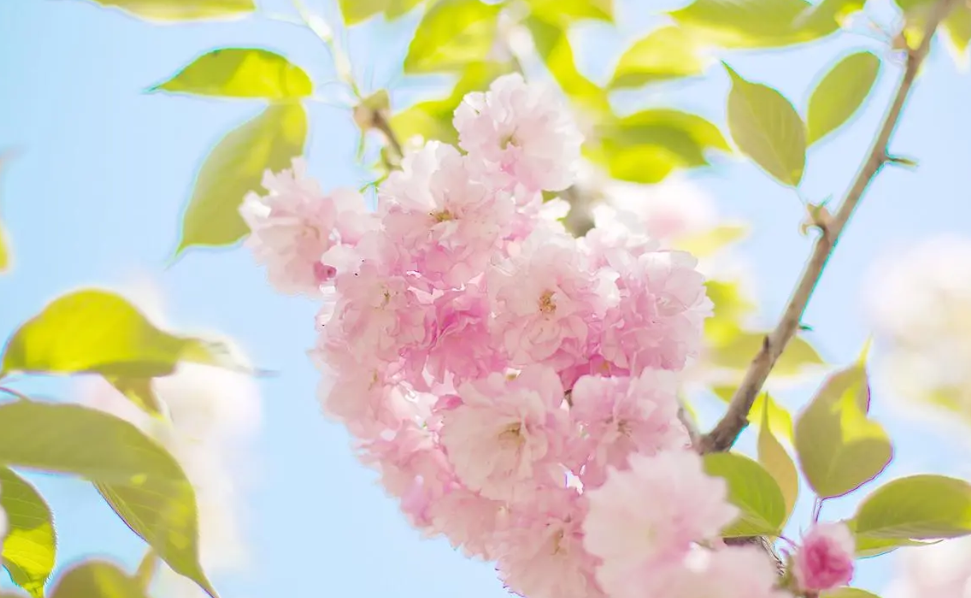 怎样才能知道自己五行缺什么,怎么看命里缺什么五行