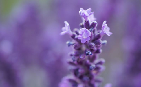 134.png 2023年4月4日五行穿衣指南,每日五行穿衣搭配指南