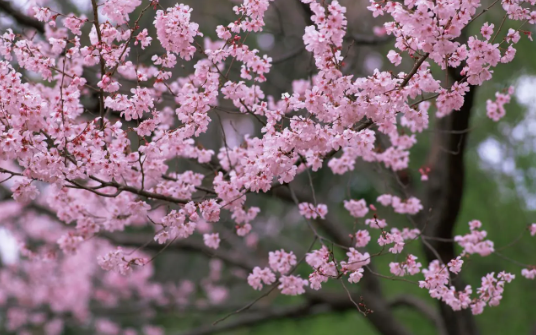 138.png 2023年4月7日五行穿衣指南,2023每日穿衣颜色