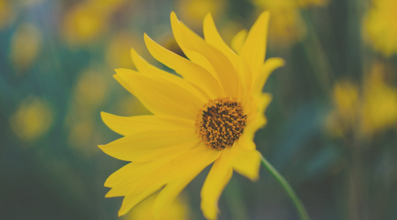 139.png 2023年4月8日五行穿衣指南,2023年每日五行穿衣颜色指南