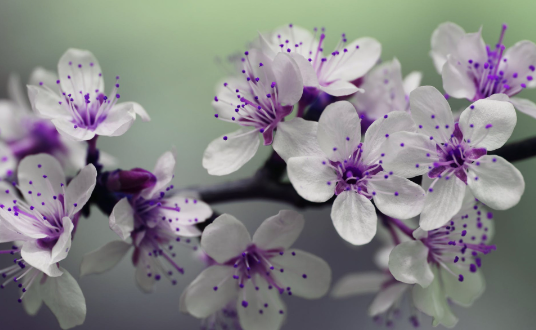 147.png 2023年4月14日五行穿衣指南,今日穿衣颜色五行搭配