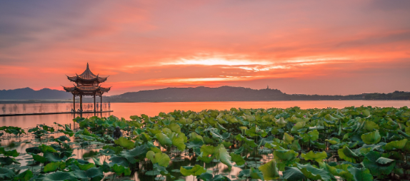 风景2.png 风景2.png