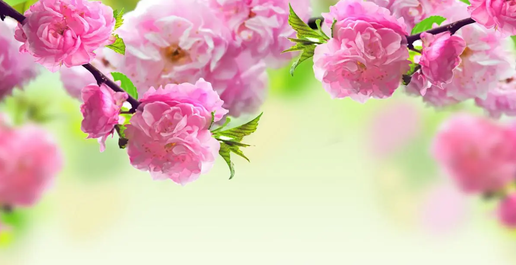 )2VFP}%WD2Z2Q0068E{{U{L.png )2VFP}%WD2Z2Q0068E{{U{L.png