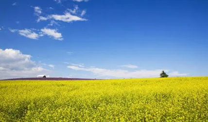 风景40.png 为什么宜搬家却忌安床,入宅和安床的区别