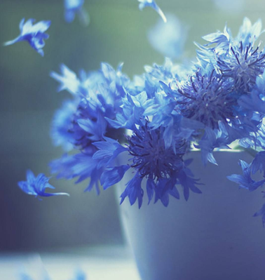 ~72HI7P1D72@T}MAAJIAY18.png ~72HI7P1D72@T}MAAJIAY18.png
