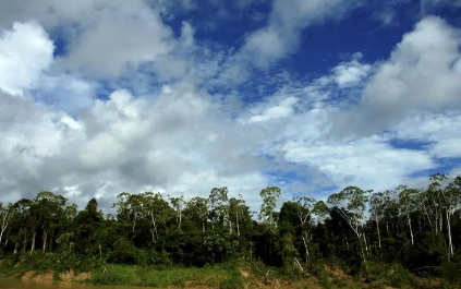 风景75.png 风景75.png